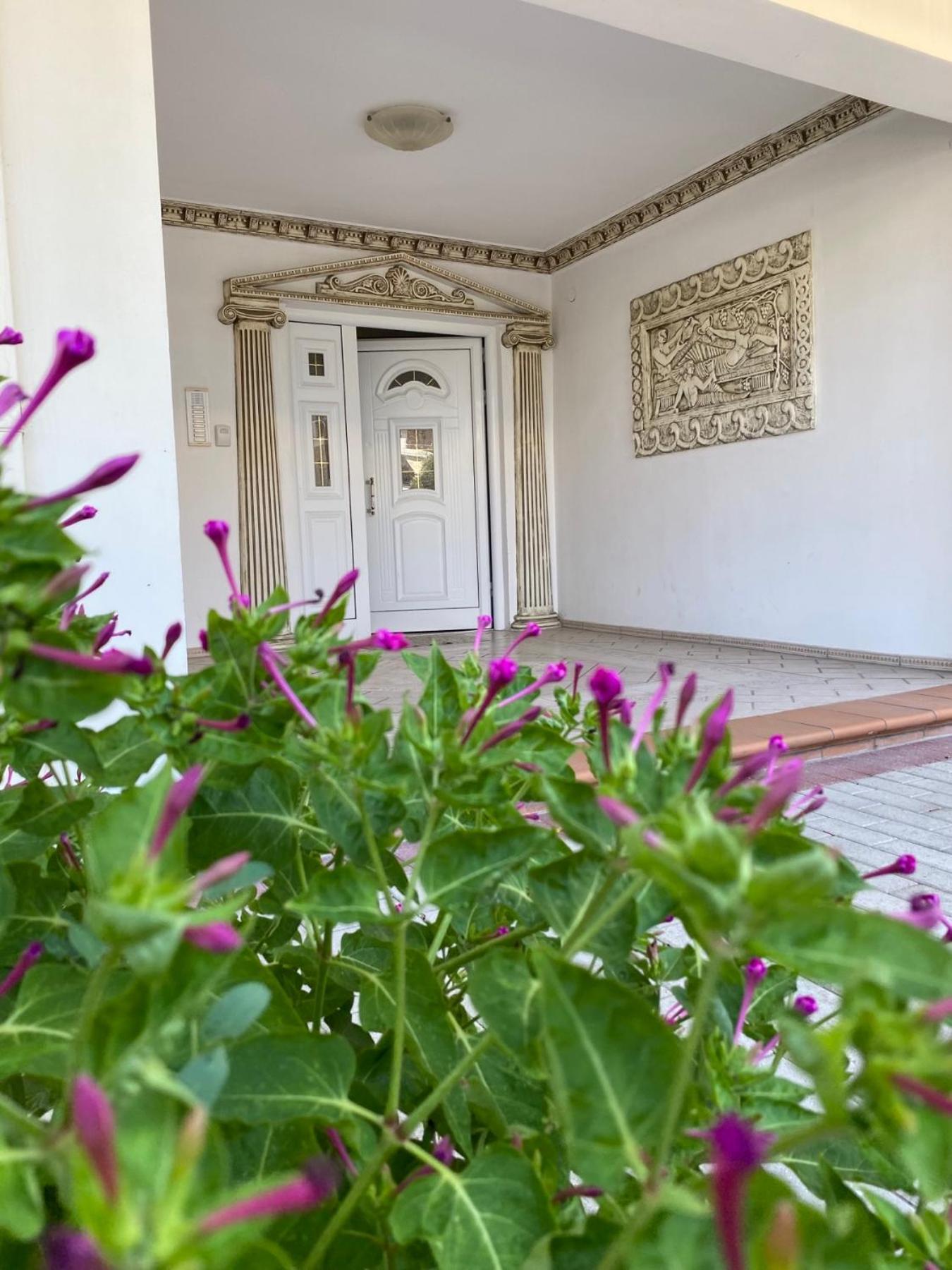 Roula Apartment Néoi Póroi Exteriér fotografie